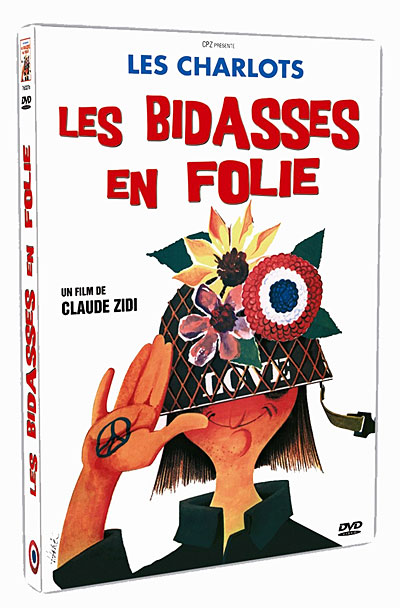 Les Bidasses en folie