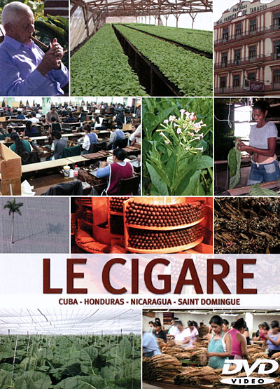 Cigare