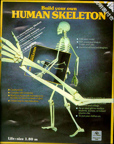 HUMAN SKELETON  (INT)