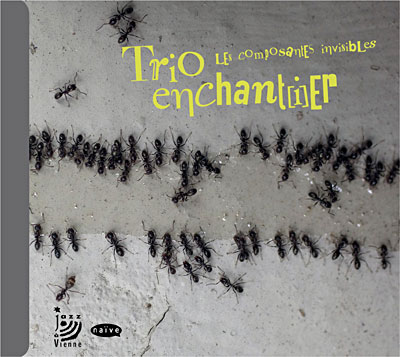 Composantes invisibles