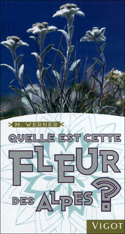 Quelle est cette fleur des Alpes ?