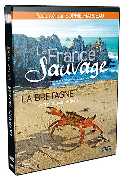 La France sauvage : La Bretagne, entre falaise et océan