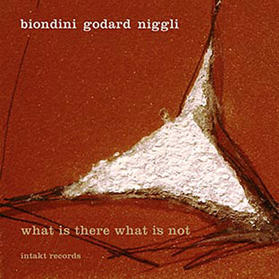 What Is There What Is Not