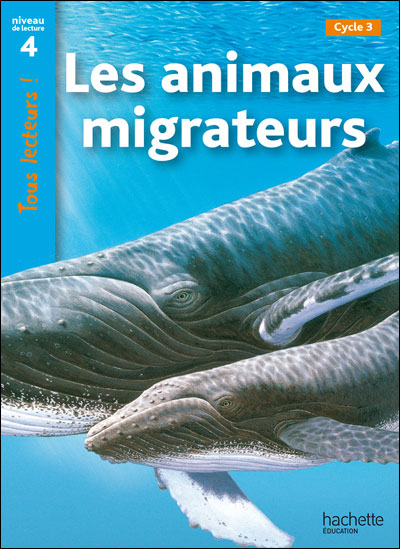 Les animaux migrateurs, niveau 4