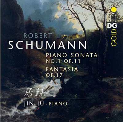 Piano sonata numéro 1 Fantasia Opus 17