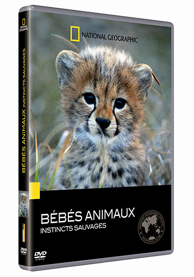 Bébés animaux - Instincts sauvages