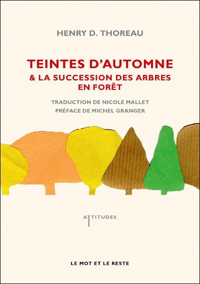 Teintes d'automne & la succession des arbres en foret