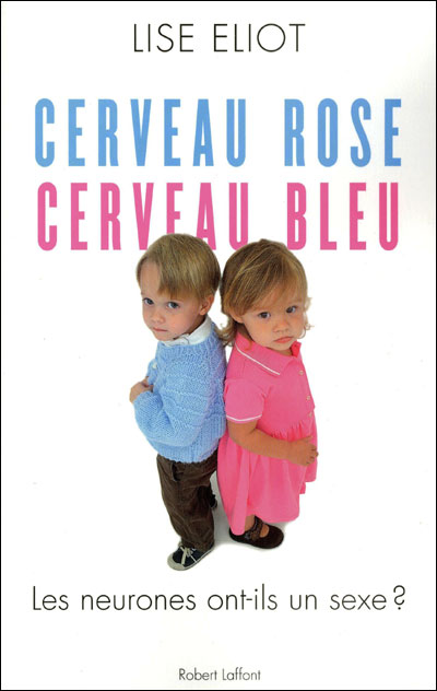 Cerveau rose, cerveau bleu