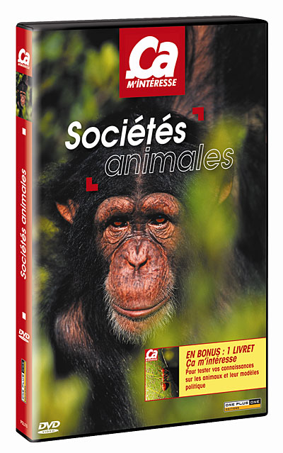 Volume 9 - Les Sociétés animales