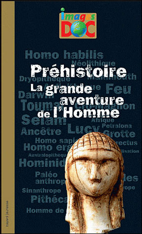 Préhistoire : la grande aventure de l'homme