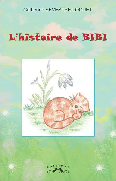 L'histoire de Bibi