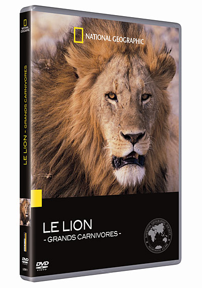 Le Lion : Les grands carnivores