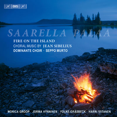 Saarella Palaa - Feuer auf der Insel
