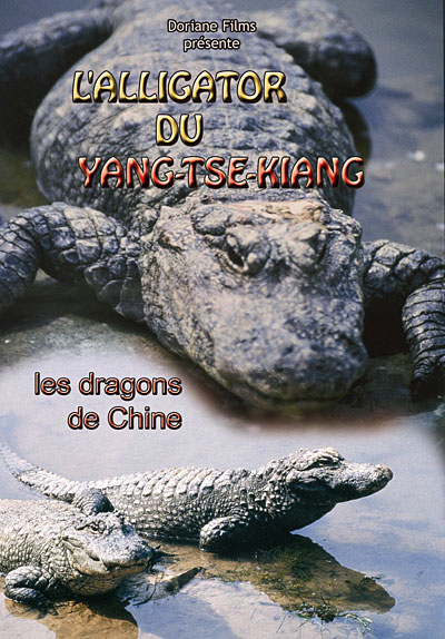Les alligators du Yangtzé