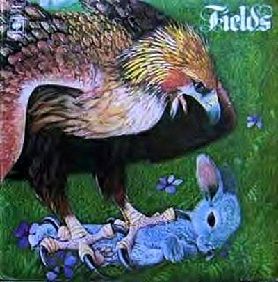 Fields/remasterise
