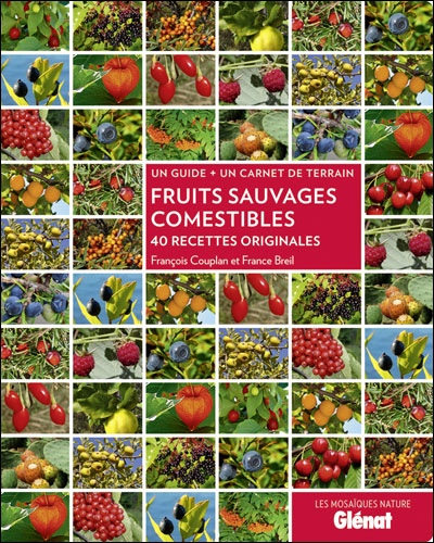 Fruits sauvages comestibles