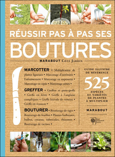 Reussir Pas A Pas Ses Boutures Broche Geoff Hodge Rosemary Ward Achat Livre Fnac Séparez la marcotte de son plant mère. reussir pas a pas ses boutures