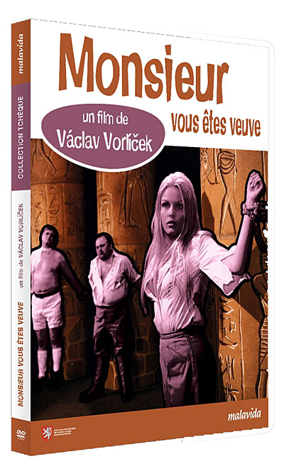 Monsieur, vous êtes veuve