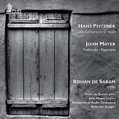 Oeuvres violon & orchestre