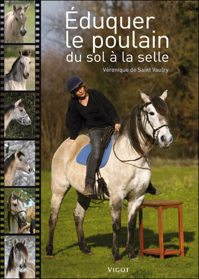Eduquer le poulain : du sol à la selle