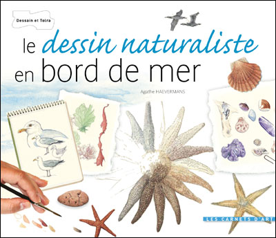 Le dessin naturaliste en bord de mer