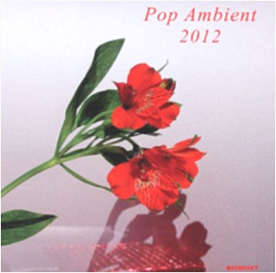 Pop Ambient 2012