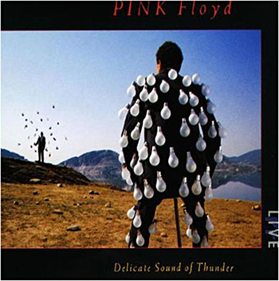 Delicate sound of thunder