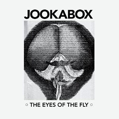 Eyes of the fly