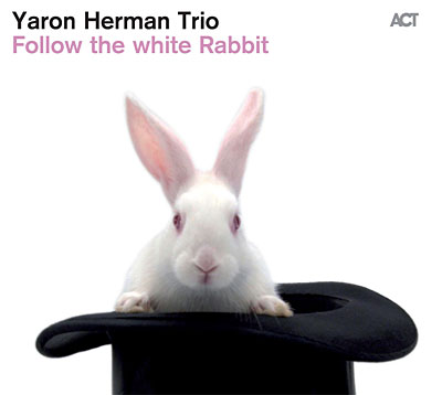 Follow the white rabbit