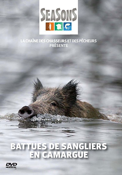 Battues de sangliers en Camargue