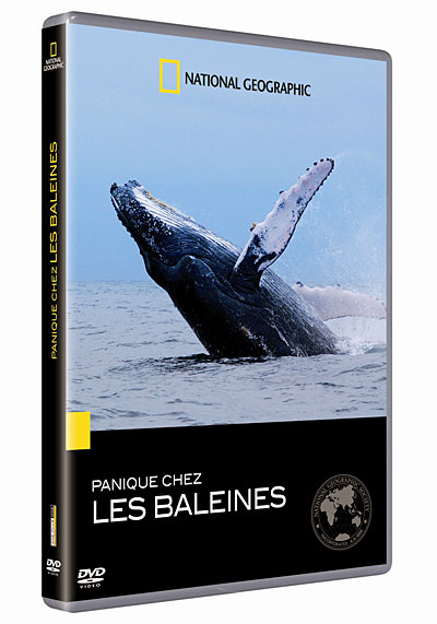 Panique chez les baleines
