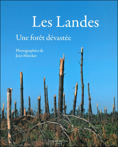 Les Landes, une forêt dévastée