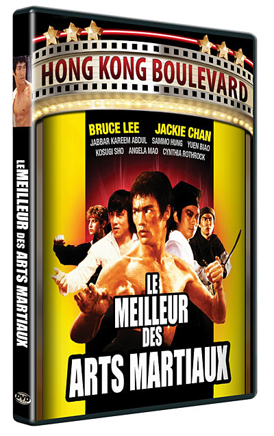 Le Meilleur des Arts Martiaux