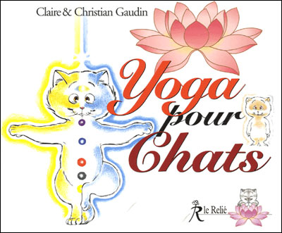 Yoga et respiration pour chats