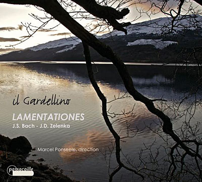 Lamentationes cantates