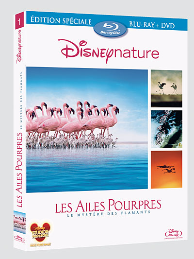 Les Ailes pourpres - Combo Blu-Ray + DVD
