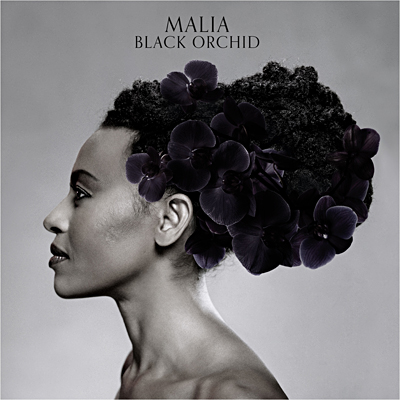 Black orchid
