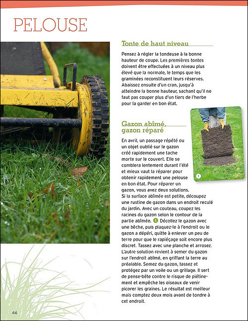 Le Jardin Mois Par Mois - 