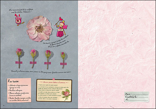L Herbier De Cendrillon Broche Lionel Hignard Laurent Audouin Achat Livre Fnac