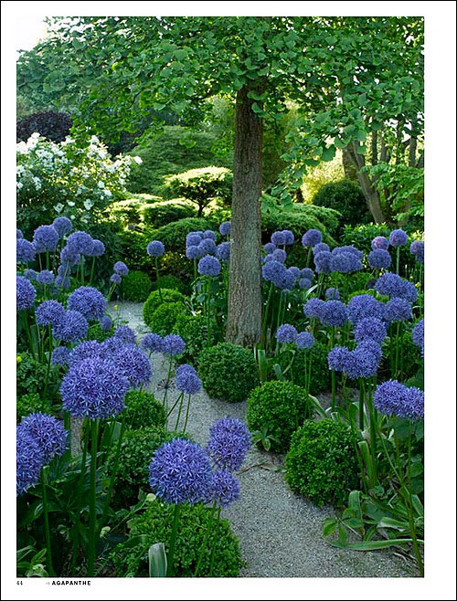 Les Jardins D Agapanthe Broche Joelle Le Scanff Mayer Gilles Le Scanff Mayer Achat Livre Fnac