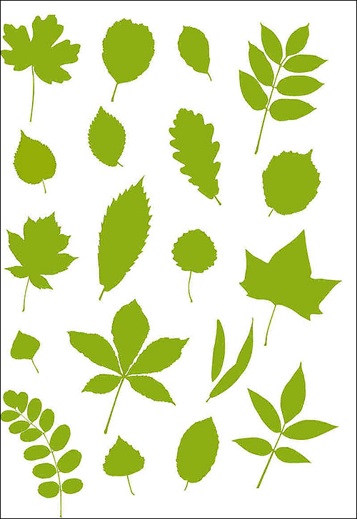 Kit supports Feuilles Herbier, feuilles d'arbres