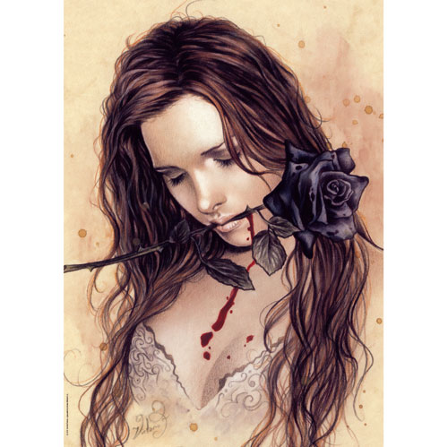 Heye Puzzle Dark, Rose 1000 pcs