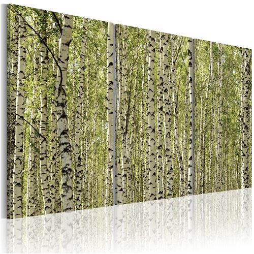 Tableau | Forêt de bouleaux | 60x40 | |