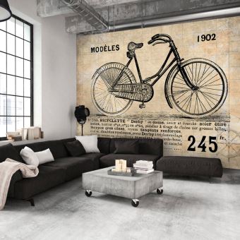 43 48 Sur Papier Peint Velo Ancien Decoration Image Art Vintage Et Retro Decoration Des Murs Achat Prix Fnac