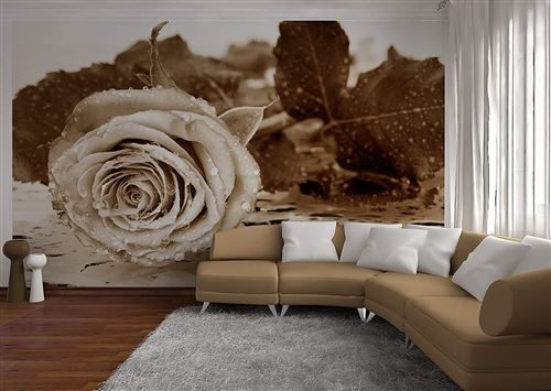 AG Design – Papiers Peints intissé – Rose Noir et Blanc– Tapisserie Photo – Poster Photo géant – 360x270 cm – 4 lés – FTNS 2458