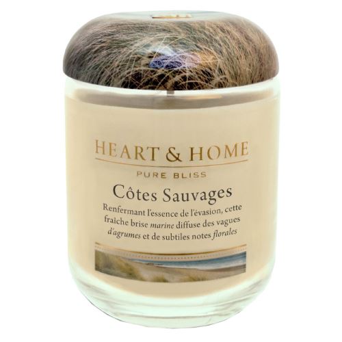 Grande Bougie à la cire de soja Côtes sauvages