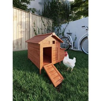 Poils Plumes Poulailler Didier En Bois 2 Poules 89x70x93 Cm