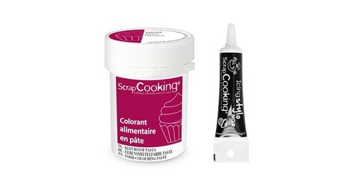 Colorant alimentaire en pâte 20 g Prune + Stylo de glaçage noir Scrapc 