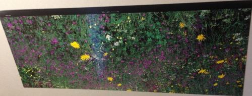 Patrice LABARBE - 26x70 cm - AFFICHE / POSTER