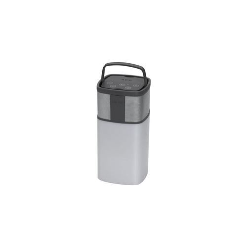 AEG Bluetooth speaker BSS 4841 19,5 x 9,5 x 69,5 cm grijs